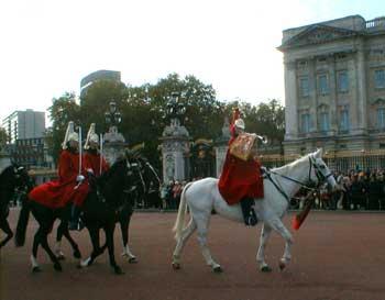 HorseBugler