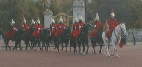 HorseGuard