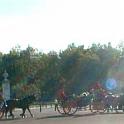 CourtCarriages