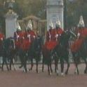 HorseGuard