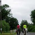 charneyhorses