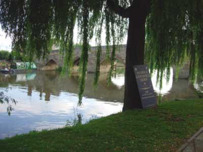 newbridge1