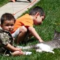 os05kids&cat
