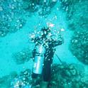 diverbelow