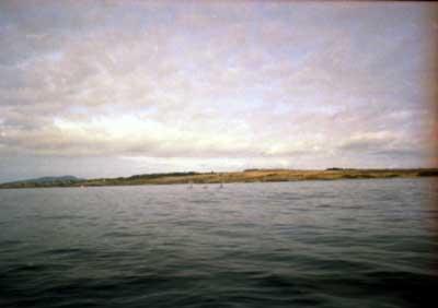 orcapod