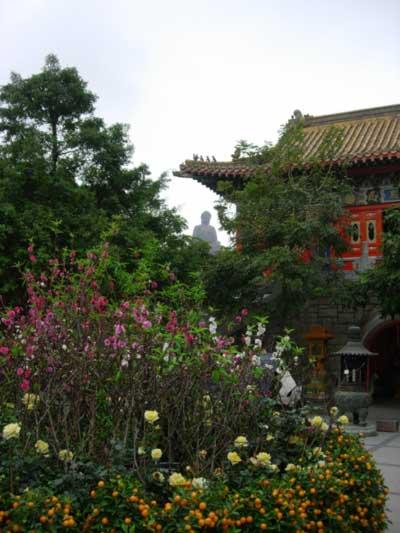 bigbuddhafromtemple