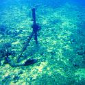 underAnchor